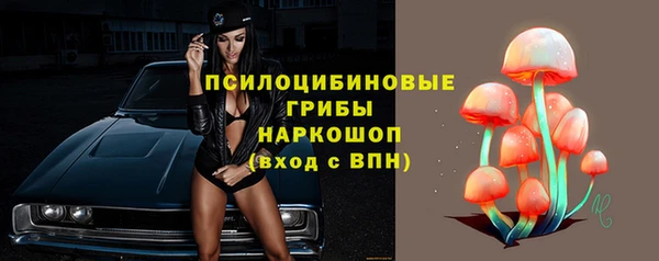 стаф Алексин