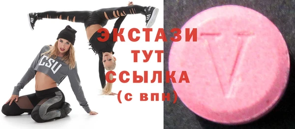 стаф Алексин