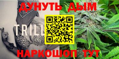 крисы Кинель