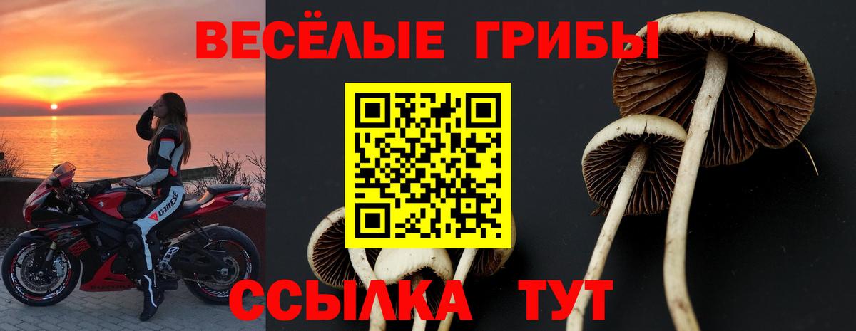 Галлюциногенные грибы мухоморы  Вход с VPN  Кимры 